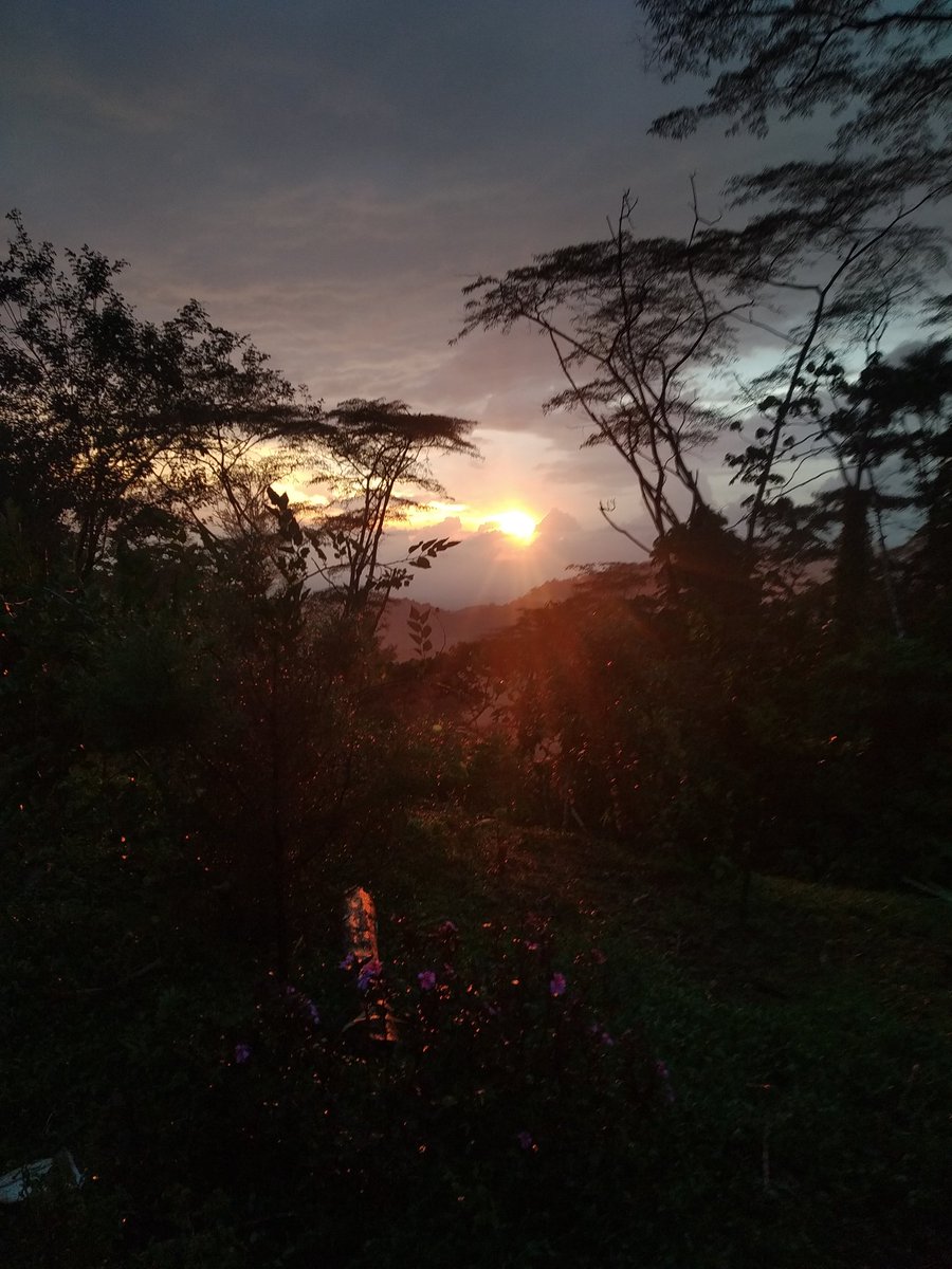 KnightWalkerCR's tweet photo. @Kr1ptonPlayer Que guapo, ayer fuea este atardecer aquí en la finca xD https://t.co/0uQVl8cRA2