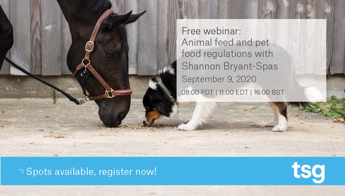 TSG Consulting tweet media