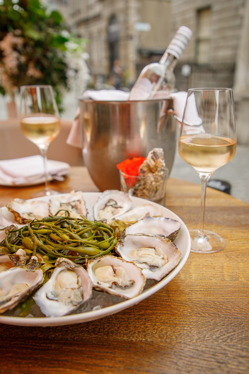 SoleDublin's tweet photo. Stop at smell the Rosé this weekend at SOLE with Oysters and Rosé in our gorgeous outdoor area. Our idea of the perfect weekend! @GBvins Gris Blanc rosé menu is available this Saturday and Sunday at SOLE. Book: https://t.co/HQsBkDiZjg / +353 (0) 1544 2300 / reservations@SOLE.ie https://t.co/F4rtG4nEJr