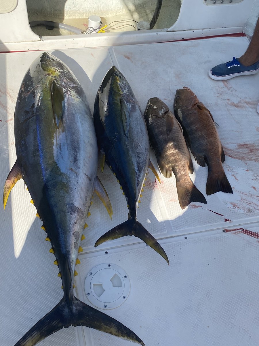 There has been an incredible variety of species here. Changing water temps make it challenging day to day to know where the fish are. dlvr.it/RdRHWQ