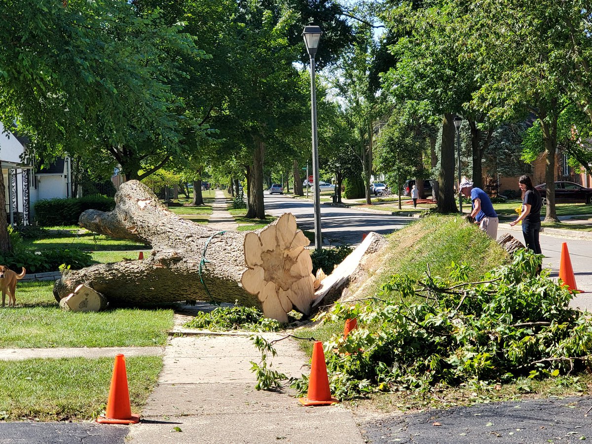 Bill Snyder tweet media