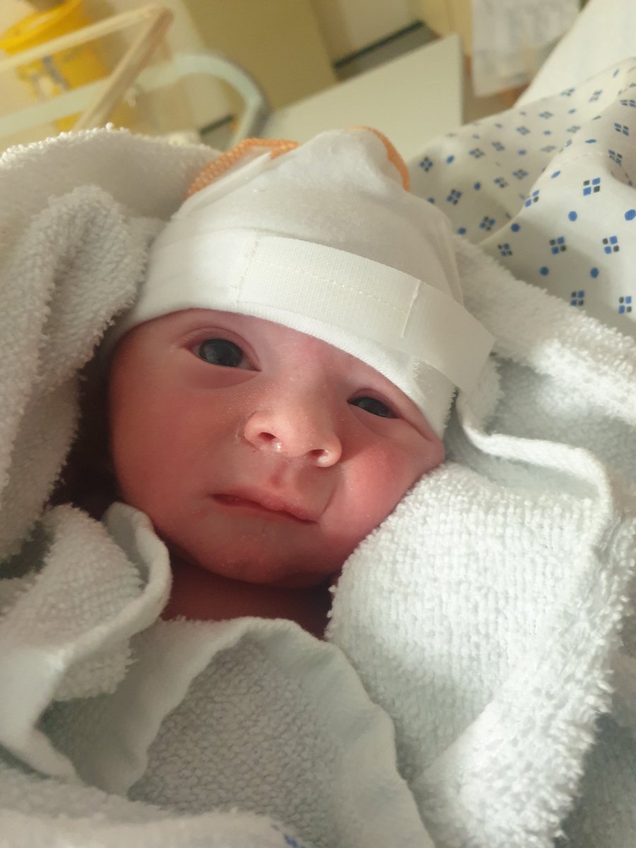 Del Shepherd tweet media