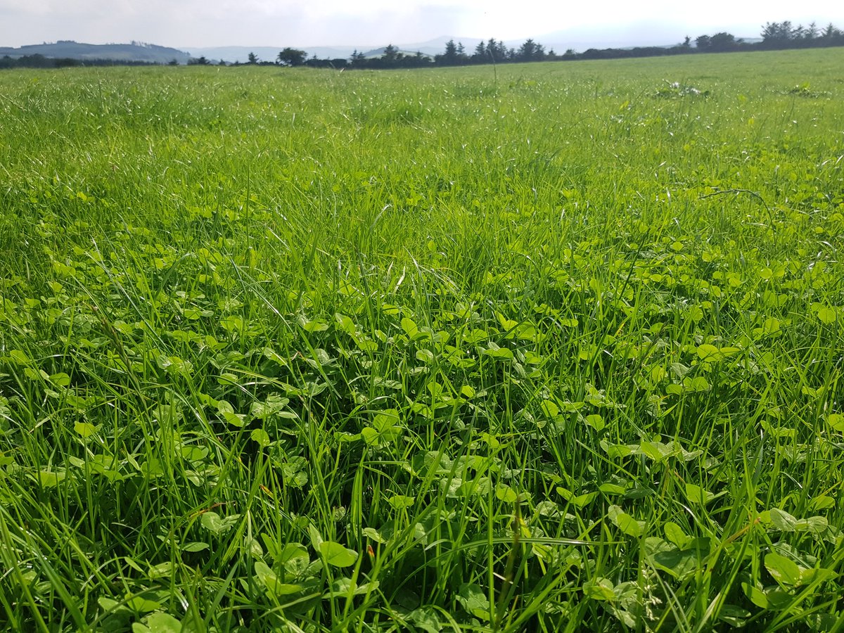 Bryan Daniels tweet media