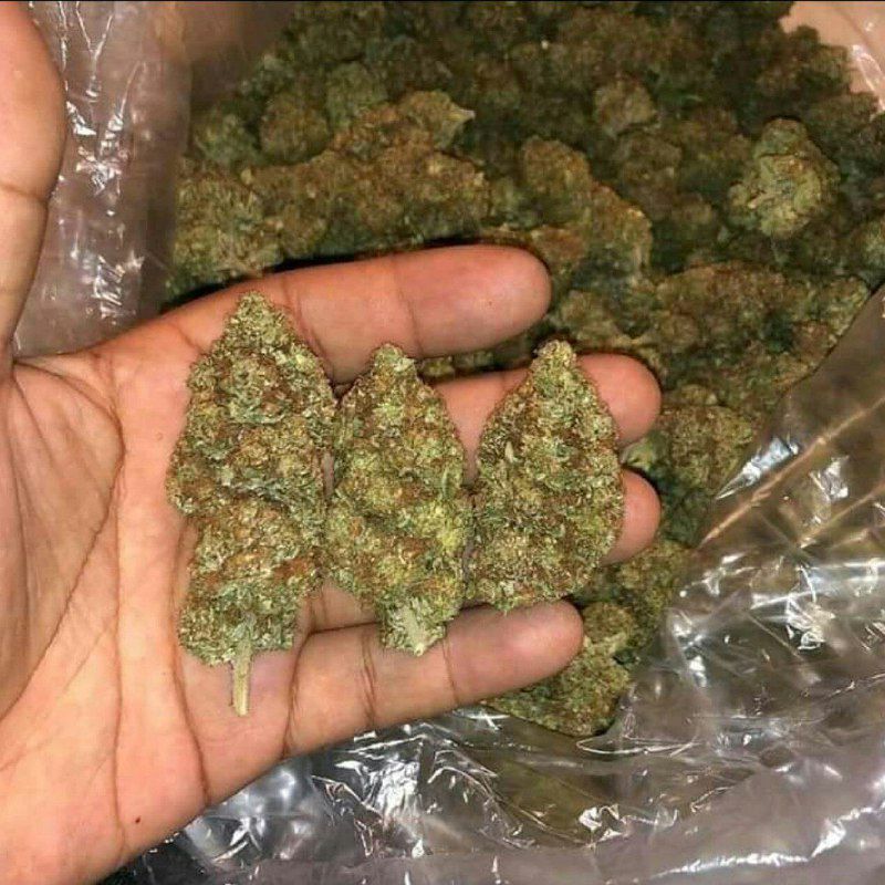 BelmonOrel's tweet photo. Snapchat: Del césar
Wickr me: beue420
#weedstayhiigh,#weedspot,#weedlovers,#weedphotography,#weedpics,#weedsmokers,#weed420,#weedtime,#weedclan,#weedsmoke,#weednerd,#weedingdress,#weedman,#weedporndaily,#weedislife,#weedcommunity,#weeddaily,#weedreup https://t.co/aQTNZX3566 https://t.co/H9kzlqsi0V