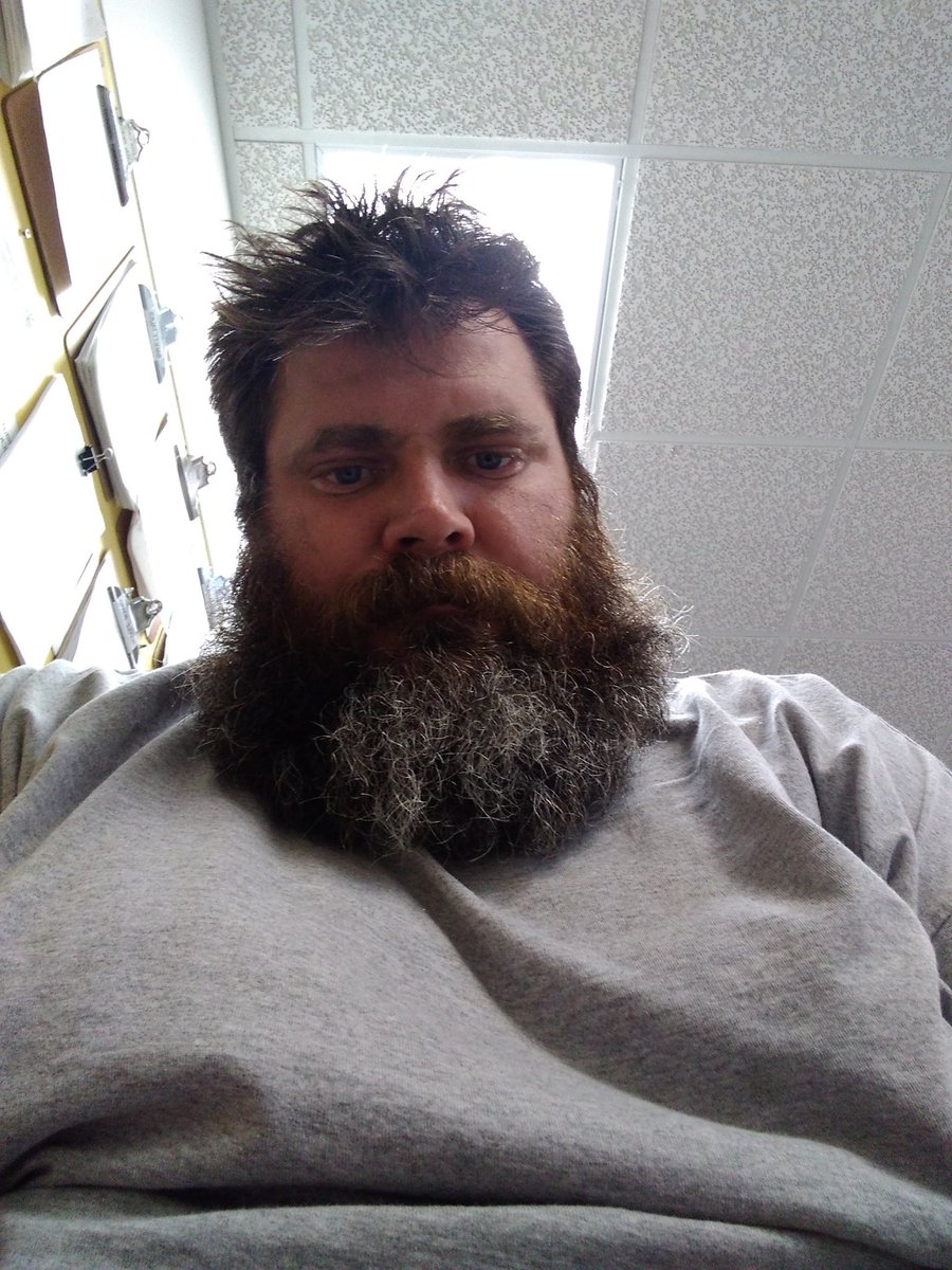 dolf_team tweet picture