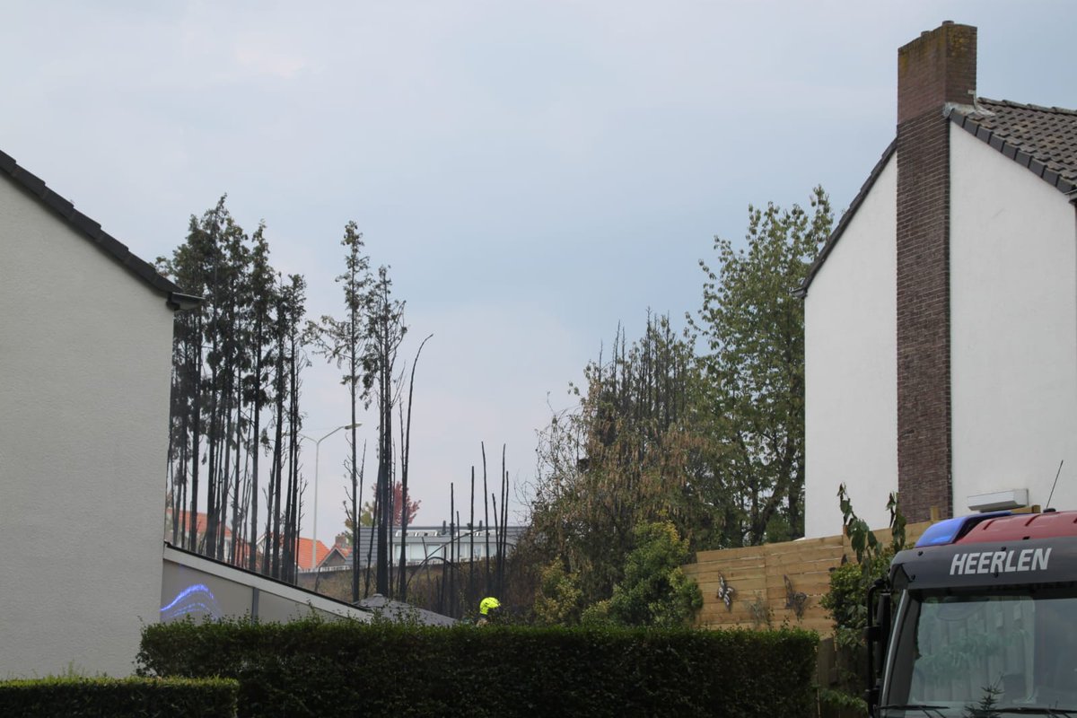 In de tuin van een woning aan de Donderdagstraat in #Heerlen is een coniferenhaag in rook opgegaan.