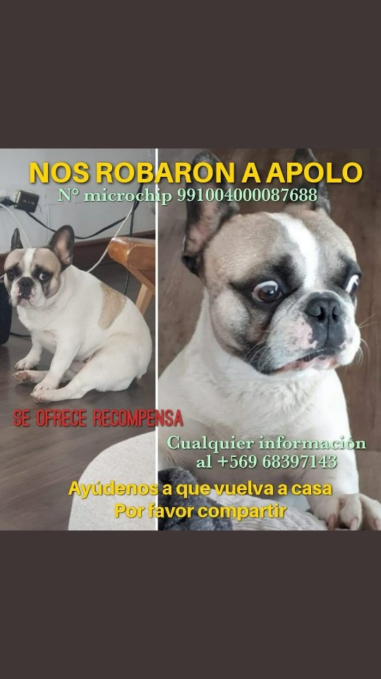 𝑪𝒂𝒓𝒐𝒍𝒊𝒏𝒂✿⊱╮ tweet media