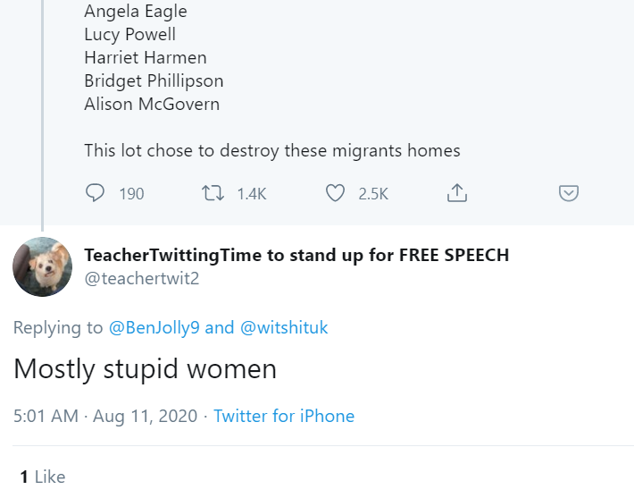 And then there's the weird misogyny. 30 of the 67 Labour rebels were women, but Ben mainly highlights the women, and the cranks in reply take it up a notch. What is it about women MPs that bothers these people so much?