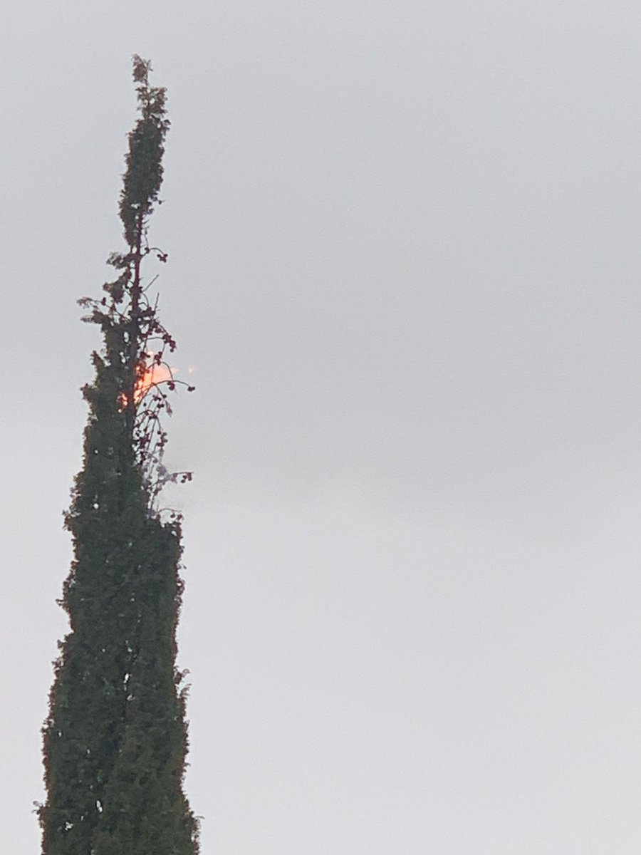 Pepealcami Acaba De Caer Un Rayo En El Isciii Todo Un Signo De Los Tiempos Lo Que Nos Faltaba