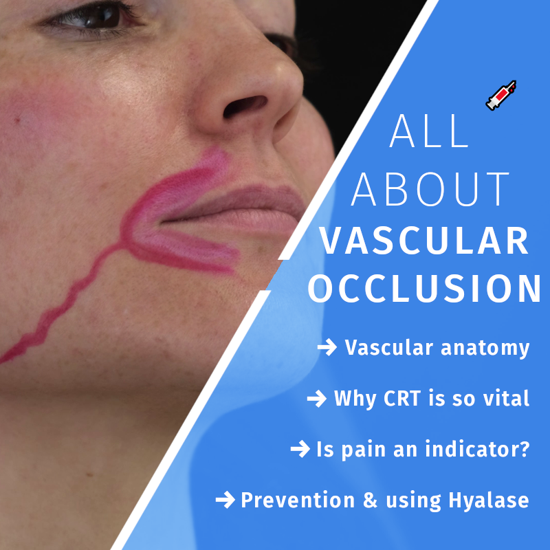 Augmented Anatomy (@AugmentAnatomy) / Posts / X
