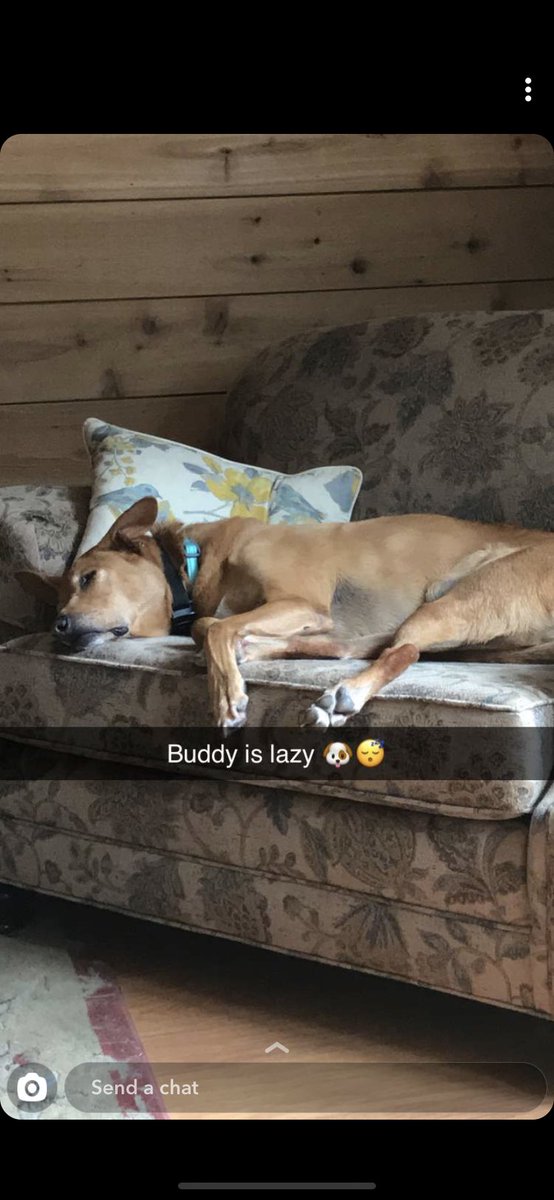 These are the snapchats I get from my mom 💕