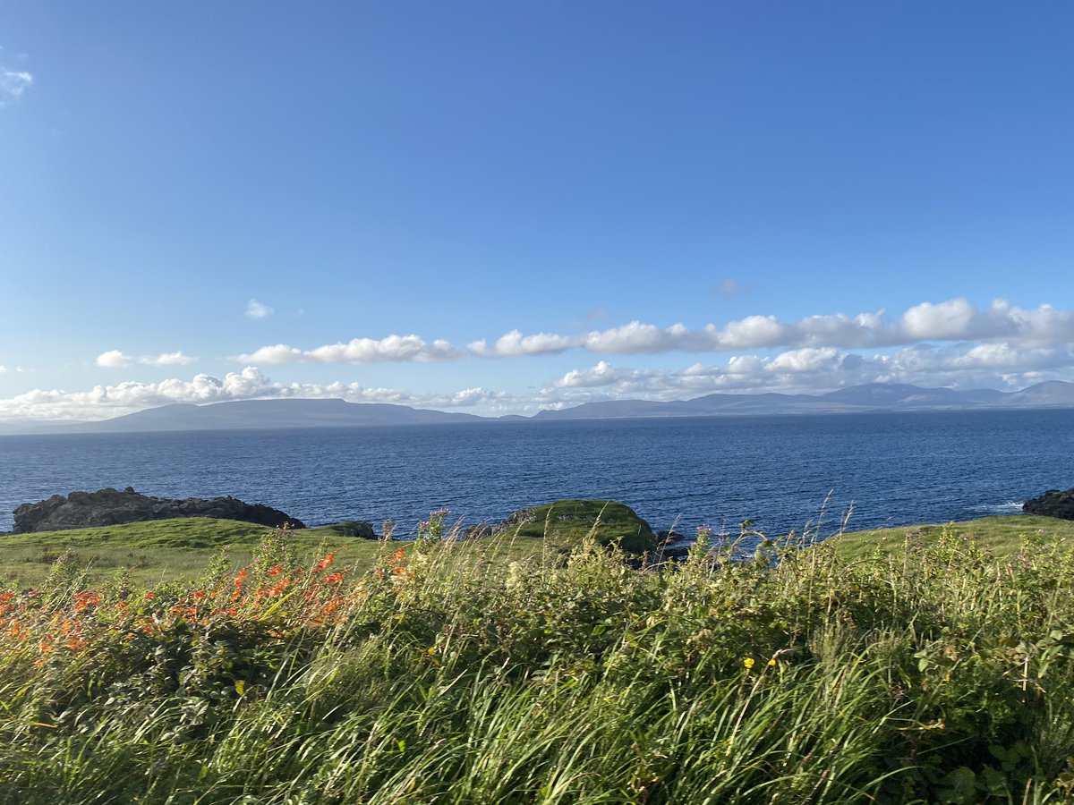 pohara's tweet photo. Mayo is a paradise ☀️ https://t.co/Ow5PsI1IFt
