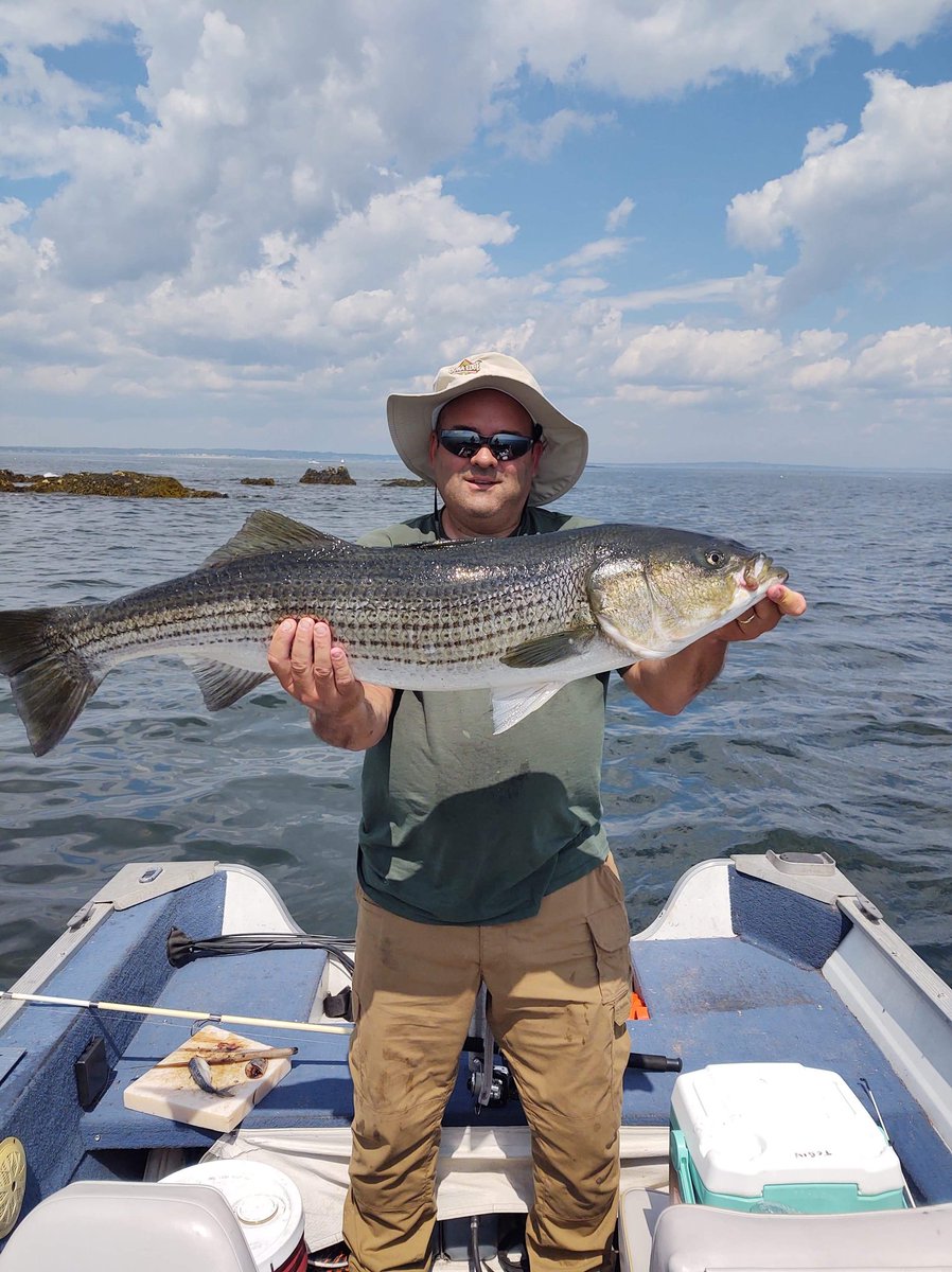 DEBassFishingEx's tweet photo. Our friend @matttobin from Pioneer with a giant Maine striped bass. We hope you all are enjoying some great fishing this summer! #LunkerCrew https://t.co/Ol3rAYkFfY