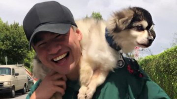 pictures of smiley calum~a thread~