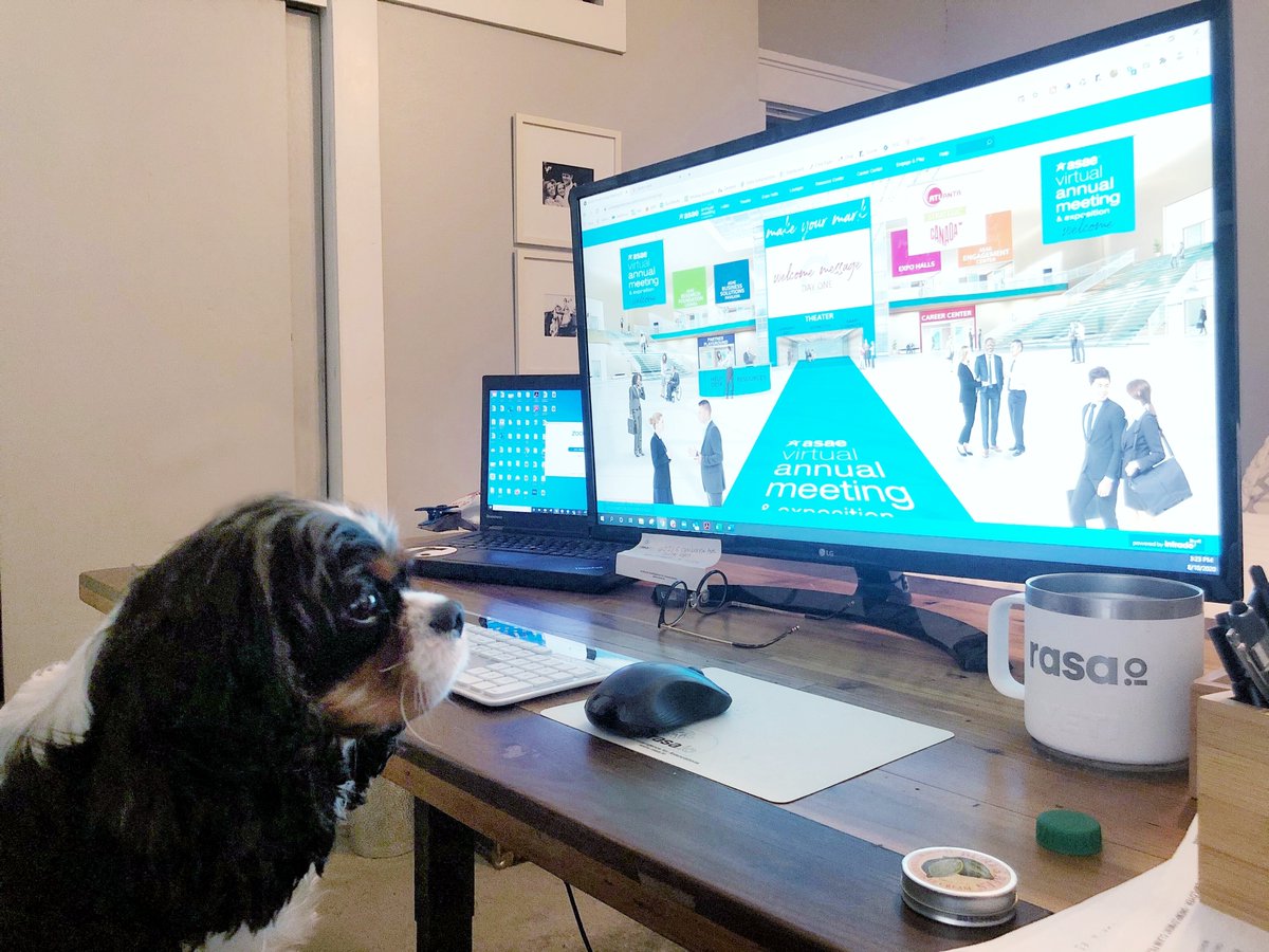 rasa_io's tweet photo. Day 2 of @ASAEannual with Bobby! #ASAE20 #ASAE2020 #ASAEAnnual #PetsOfASAE20 https://t.co/44twap6kGe