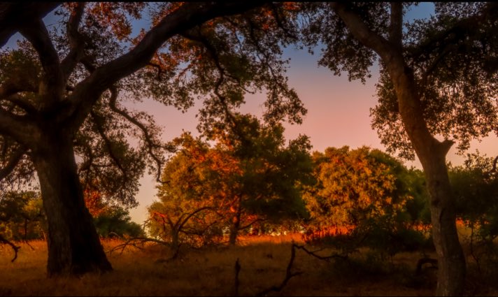 Days End...
.
.
.
.

#LandscapeLovers #BeautifulLandscape #Viewpoint #NakedPlanet #LandscapeHunter #Sky_Captures #ScenicView #Cloudscape #Earthpix #DiscoverLandscape #AwesomeGlobe #IGRefined #Earthescope   #richardgreenla #santamonicamountains