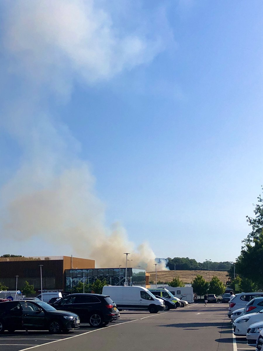 Grass fire near #broadbridgeheath next to the #A24. #westsussex #horsham