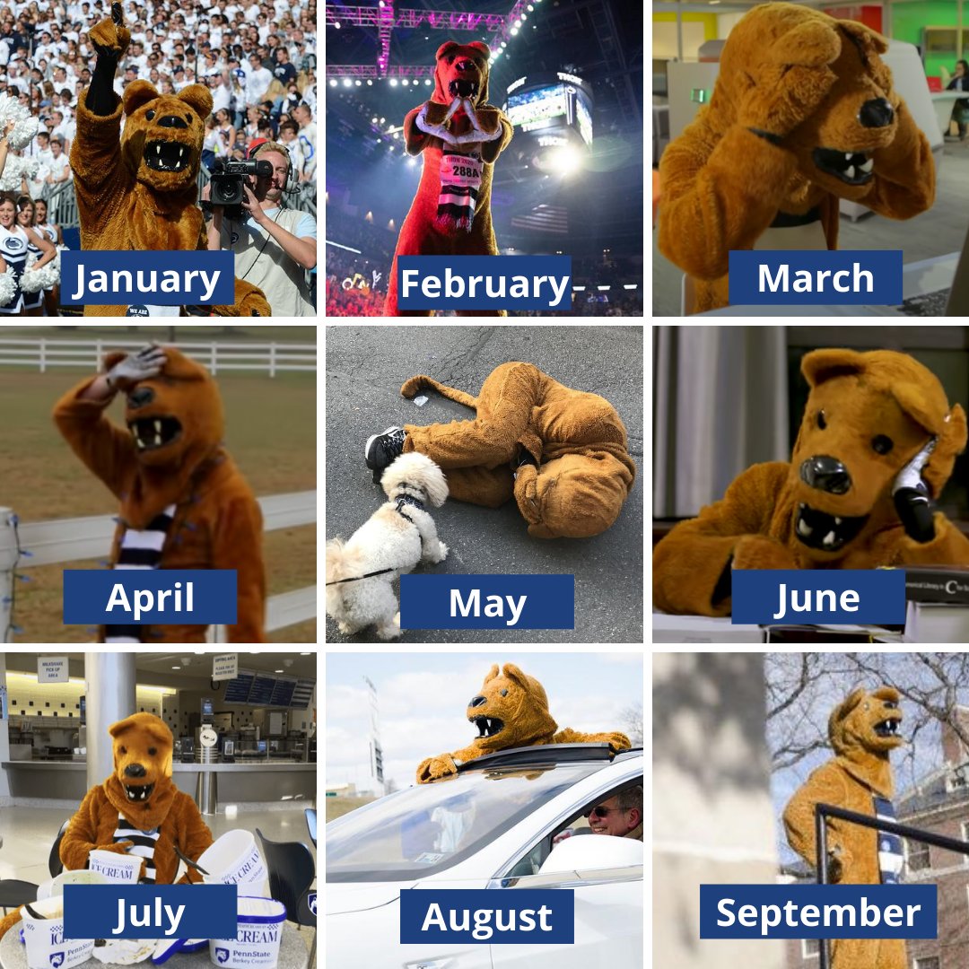 NittanyLion's tweet image. Accurate. 

💙 #2020challenge