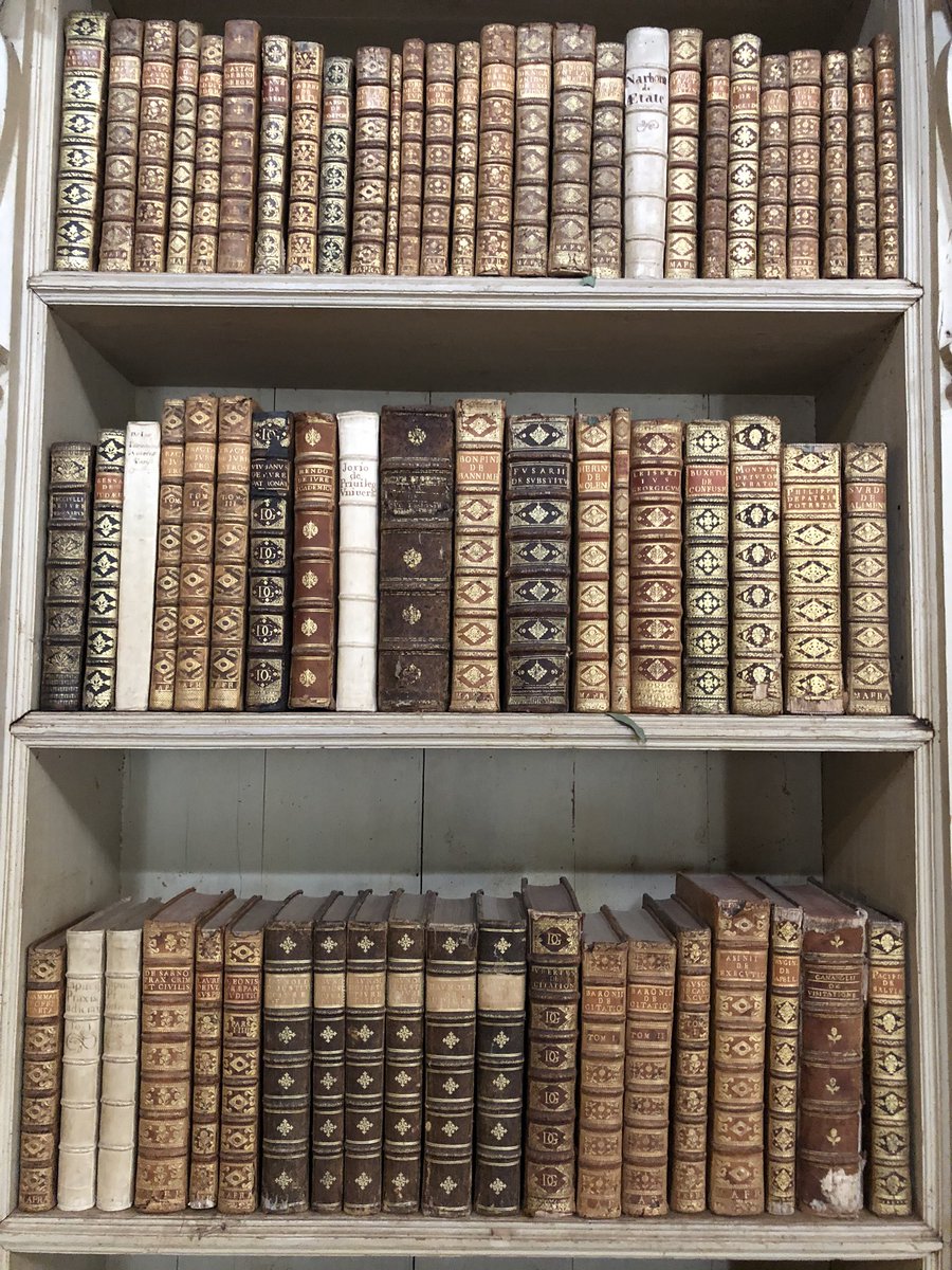 Une colonie de chauve-souris vit dans la bibliothèque du XVIIIe siècle de 36 000 ouvrages du palais national de Mafra au Portugal et protège les livres anciens des insectes. Elles sont libérées la nuit et peuvent se nourrir jusqu’à deux fois leur poids en insectes 🦇