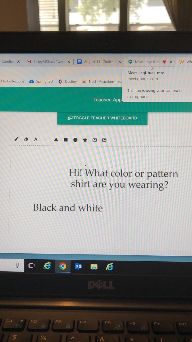 LibraryBailey's tweet image. Using whiteboard!  @GadgetgirlTania