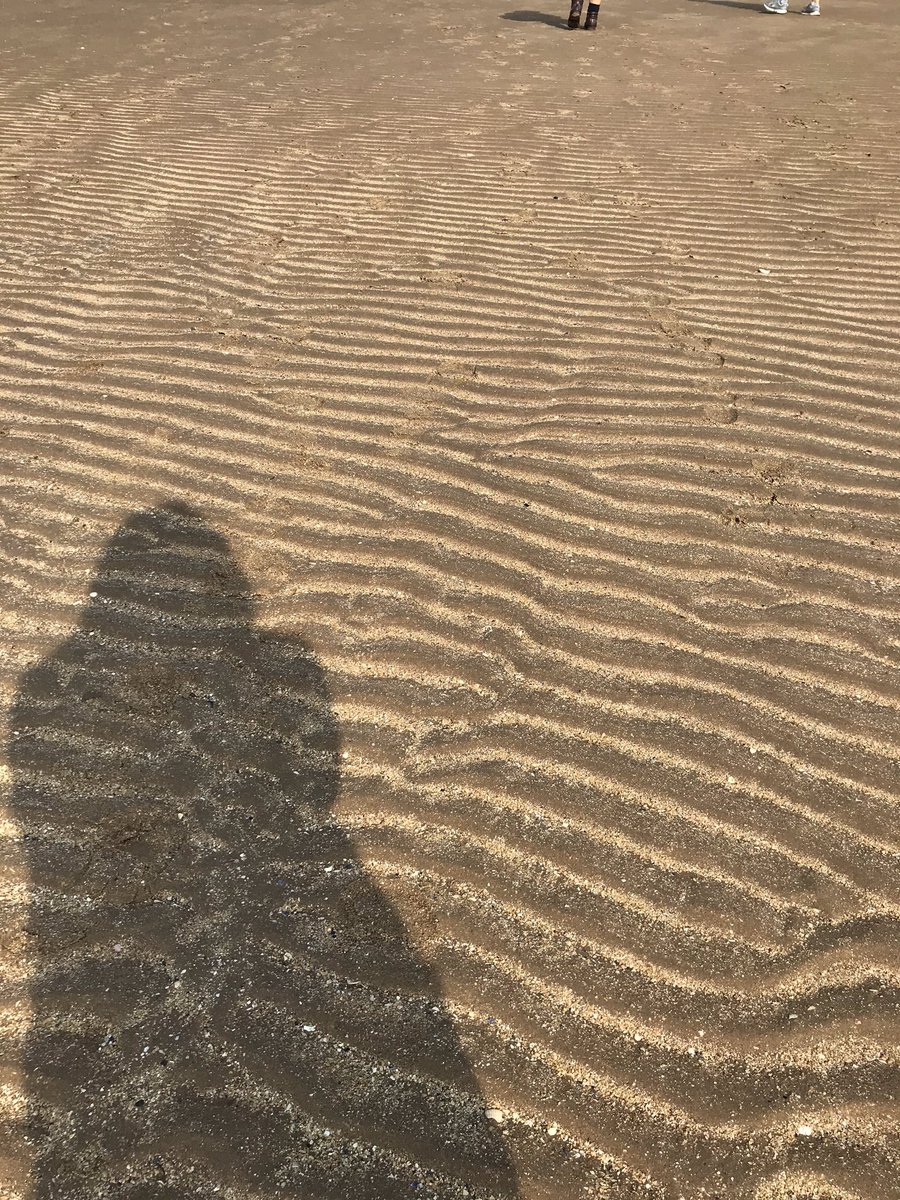 AlCrop's tweet image. Lovely day to walk to Hilbre 🌞😎