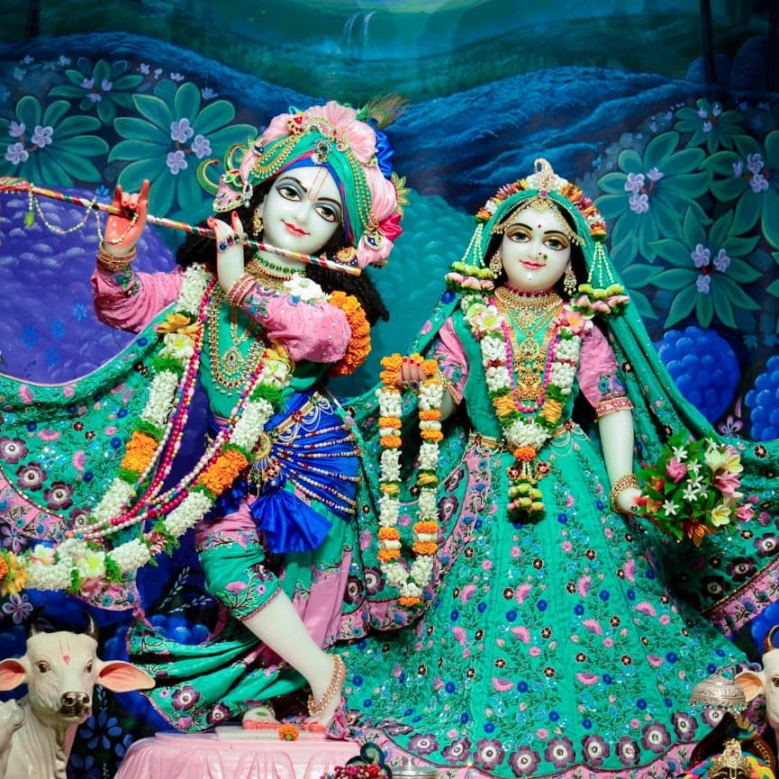 MukeshMall11's tweet photo. नरमू परिवार कारखाना मण्डल 

 *आप सभी मित्रों को श्री_कृष्ण_जन्माष्टमी  की हार्दिक बधाई एवं शुभकामनाएं..* 

Facebook page- NERMU Mechanical Workshop Gorakhpur
Twitter- @nermumwgkp
Instagram- nermumwgkp
https://t.co/OoOpi5biSE    
( प्लीज लाइक पेज ) https://t.co/Y3nqoavBWW