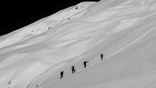 Shujinko tweet media