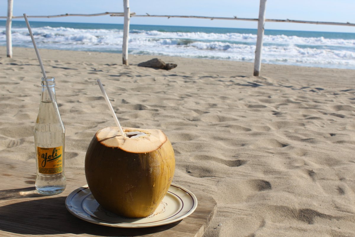 Vides Musicales tweet media