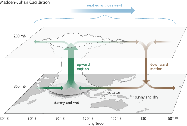 A basic diagram of the MJO shows that convective phase of the MJO, you'll have ULL divergence and LL convergence which typically is a large influence in cyclogenesis. In the suppressive phase, the conditions are reversed leading to less favourable conditions. 2/