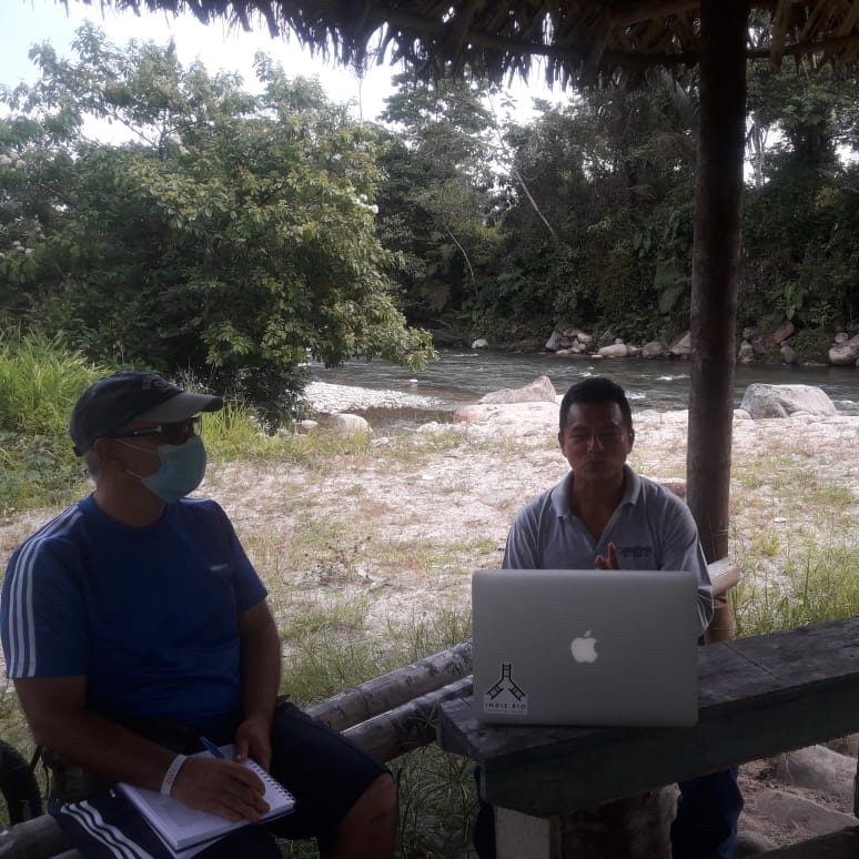Leorange69's tweet photo. ¿Cómo podemos ayudar a las comunidades indígenas de la selva tropical amazónica en la era de pandemia COVID-19 y tiempos post-pandémicos?: La producción de hongos comestibles para la re-activación económica puede ser una buena opción! Click Aquí: https://t.co/szR6f56Se8 @u_ikiam https://t.co/MgRGX2ZKIS