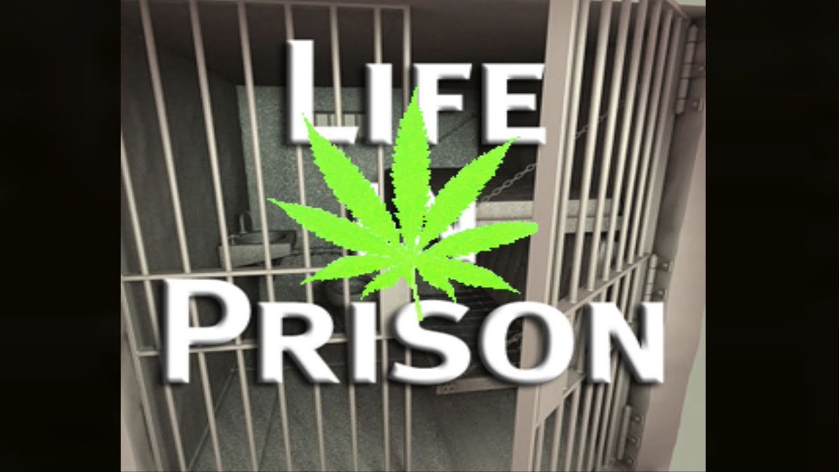 mainenewshound's tweet photo. 'Sen. Kamala Harris (D-CA) record as a prosecutor..jailed #Marijuana offenders and later joked about it'
source:Marijuana Moment dot com
#pot #weed #cannabis #mepolitics #mapoli #maine #massachusetts #nh #mainers #legalize #va #bostonma #reefermadness #portlandme #coloroado https://t.co/WAR86awnWv