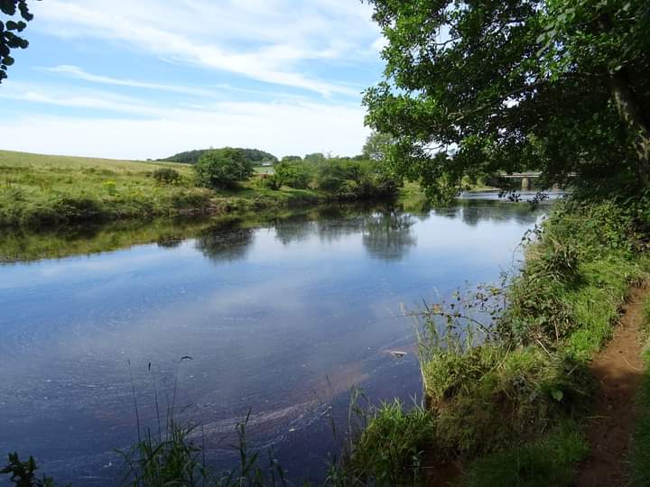 NimmoJan's tweet photo. The River Ayr: A hidden gem just an hour from Glasgow. We walked an 8 mile circular route taking in Oswald Bridge and the Three Green Knights via Annebank. Can't wait to explore more.
#riverayr #ayreshire https://t.co/0lfly93dJG