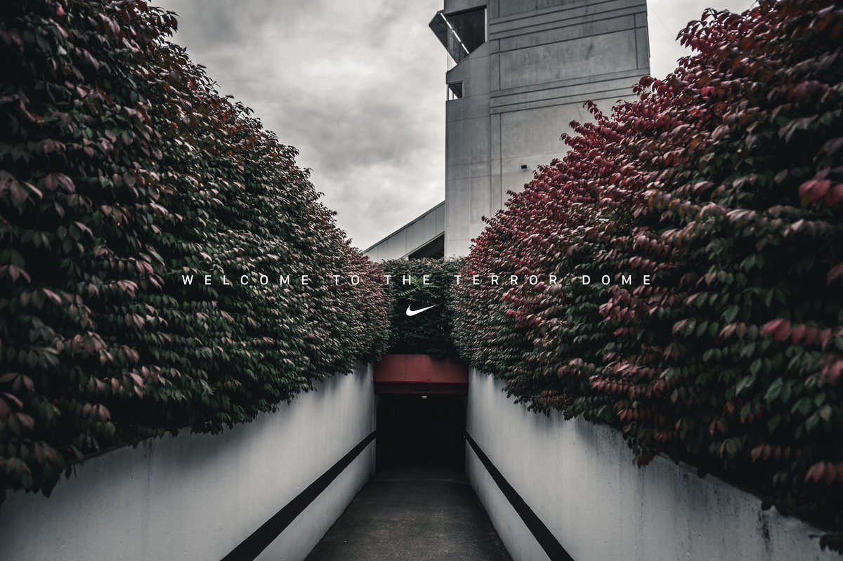 lino_lupinetti's tweet image. Coming soon...