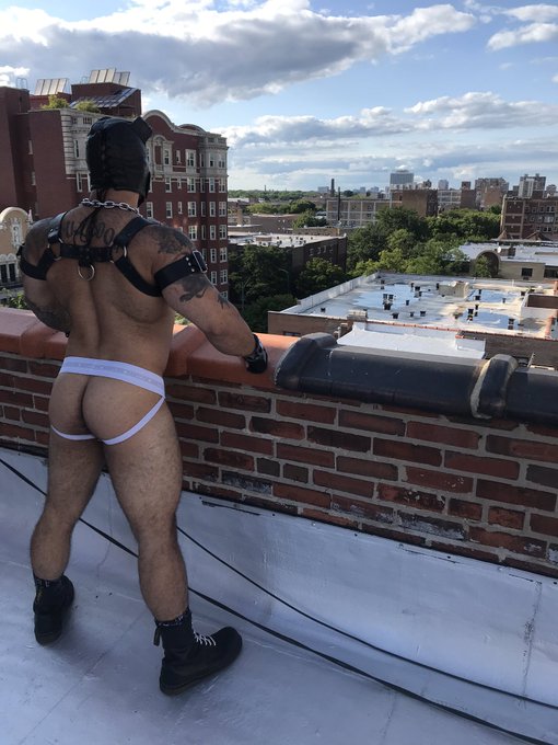 #puppy #leather #butt #muscle #harness #jock https://t.co/YZJ7n2VaT3<a href="/tag/puppy"class="tags">#puppy</a><a href="/tag/leather"class="tags">#leather</a><a href="/tag/butt"class="tags">#butt</a><a href="/tag/muscle"class="tags">#muscle</a><a href="/tag/harness"class="tags">#harness</a><a href="/tag/jock"class="tags">#jock</a>