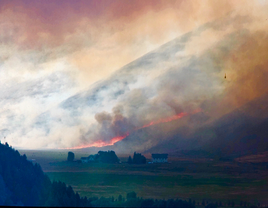 EPARegion10's tweet photo. Is there a #wildfire in your area? Check out the @AIRNow Fire and Smoke Map. We’ve added data from low-cost air pollution #sensors as part of a pilot project to expand the air quality info the map shows => https://t.co/3NlLmpEkq1 https://t.co/TMIopptR0f