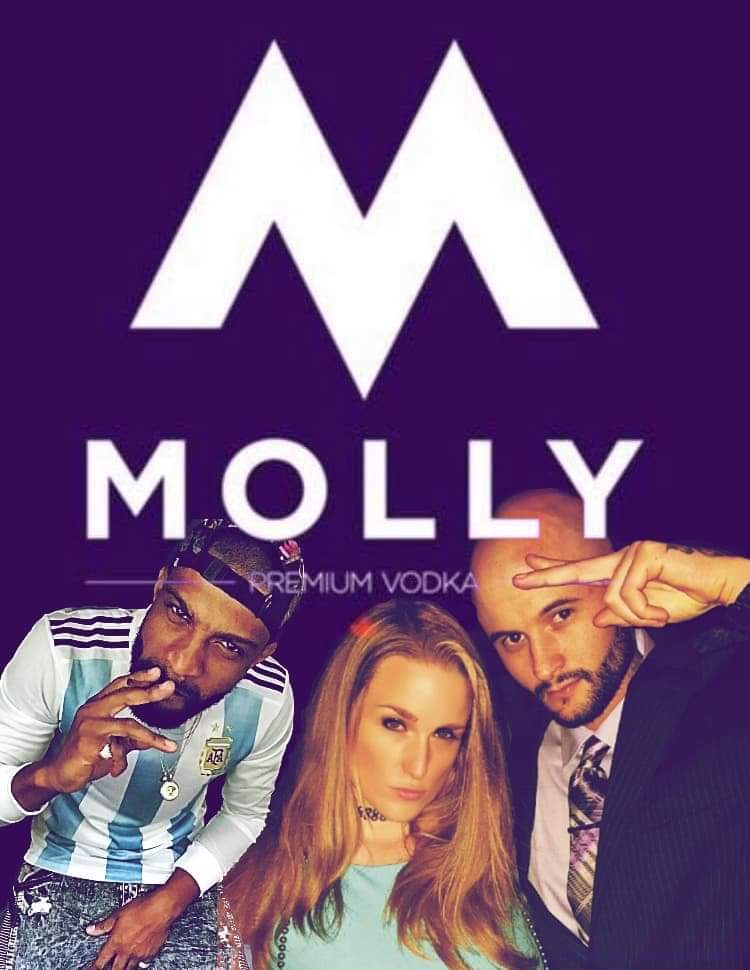 mollyvodka.com