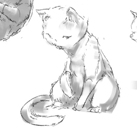 hederlig's tweet photo. cats https://t.co/VxjsNCF7pU