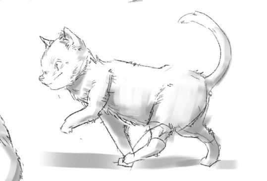 hederlig's tweet photo. cats https://t.co/VxjsNCF7pU
