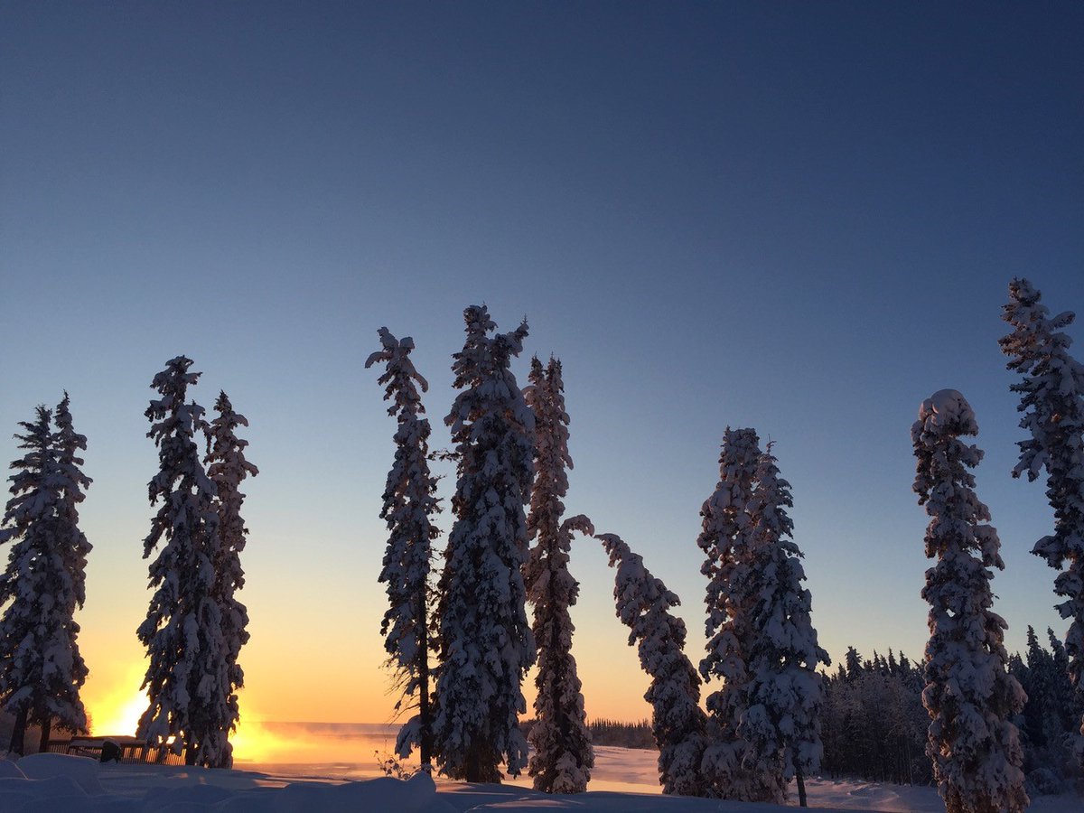 NWF_Research's tweet photo. #FieldworkFlashback 🕰 Beautiful sunset in the NWT 🌝❄️ https://t.co/cJa3TlAJvK