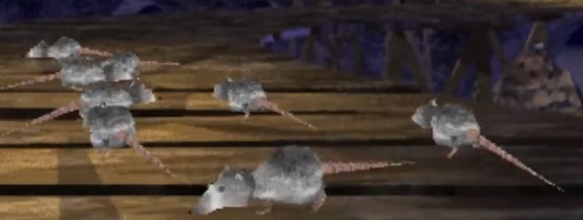 DailyRodents tweet picture