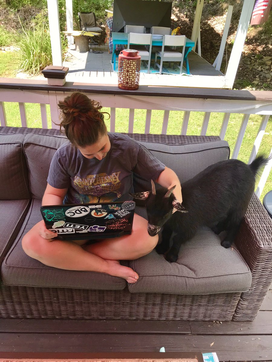 When you take your work outside and have a goat who thinks she’s a dog 😂🤦🏻‍♀️🤷🏻‍♀️