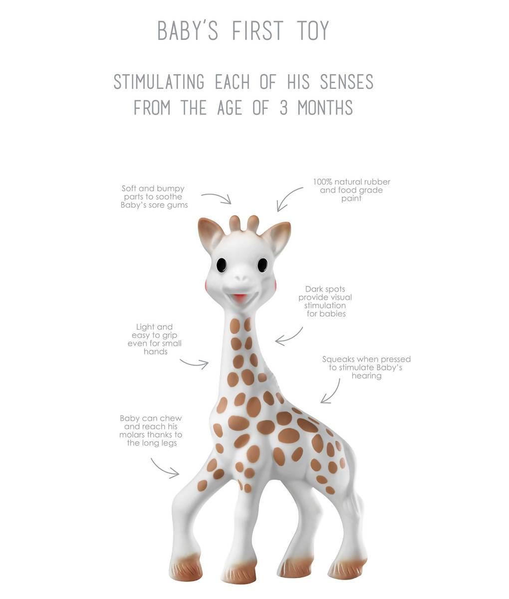🦒  Every #French #baby has a Sophie la Giraffe -- the #timeless #teether that has helped generations of #children. Find one now on the French Wink eshop!

frenchwink.com/products/sophi…

#toddlers #toysfortoddlers #teeth #frenchtoys #babyshower  #babies

Photo credit: <a href="/sophiegirafeusa/">Sophie the Giraffe</a>