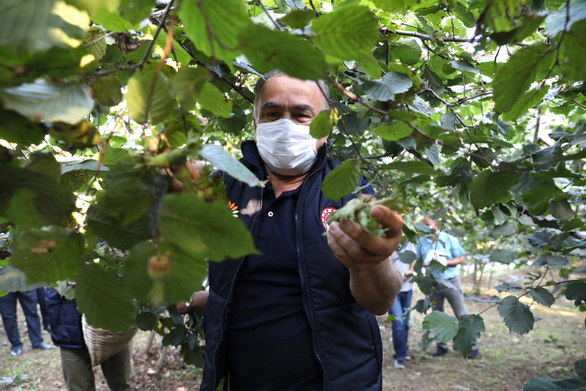 Mehmet Hilmi Güler