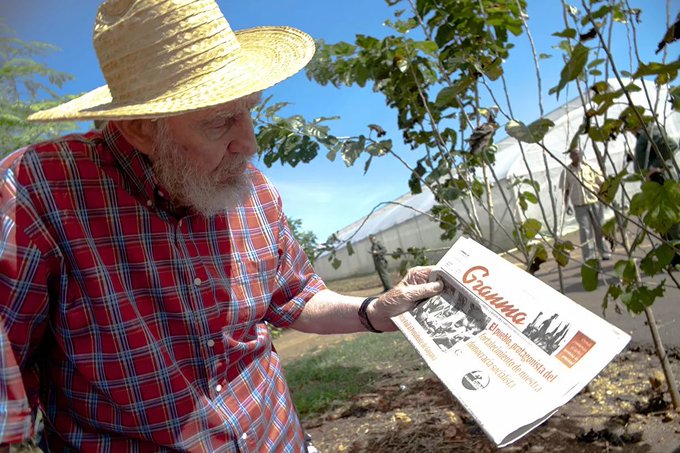 Fidel Castro, bem idoso, lendo o Granma em meio a uma plantação, com chapéu de palha e camisa xadrez.