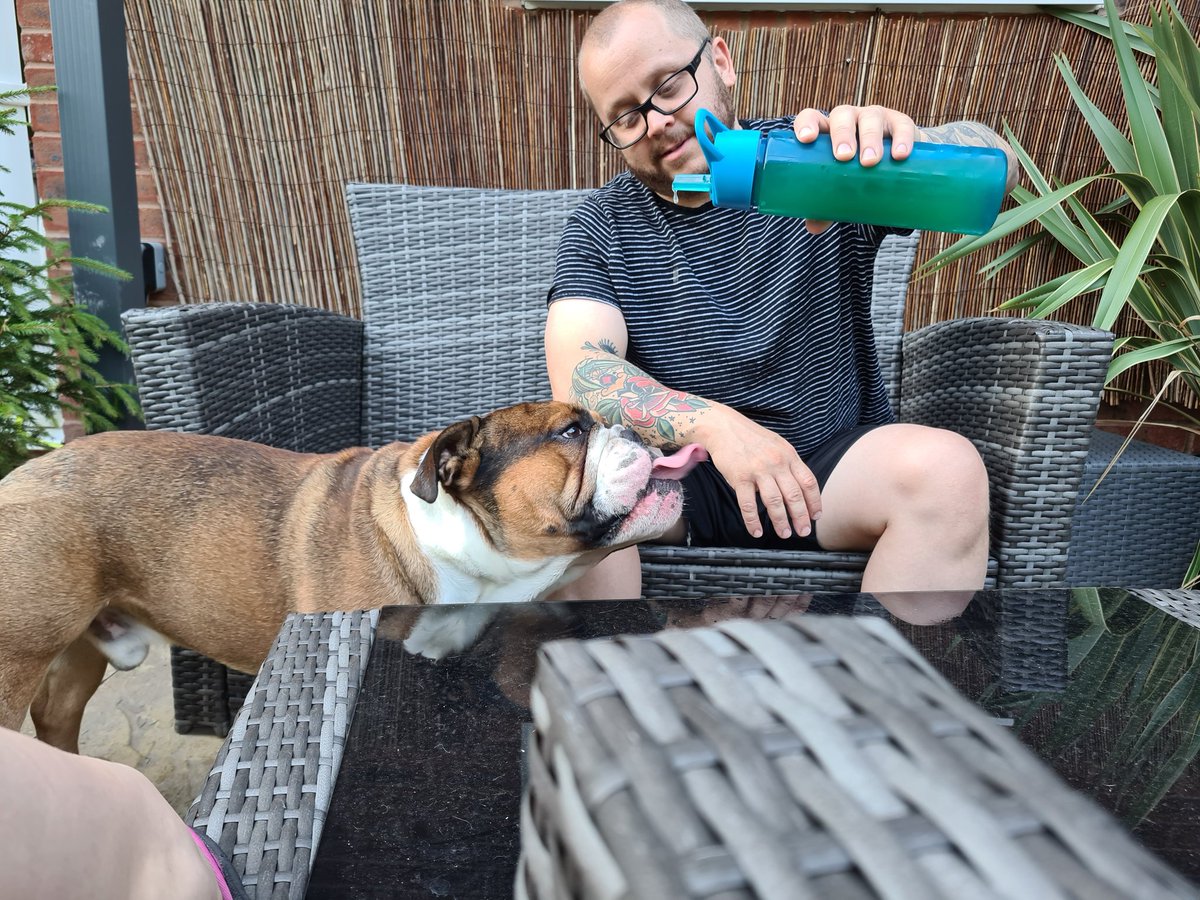 RoccotheBulldo1's tweet photo. Daddy gave a lickle bit of juice! Good luck getting me back on water now, it tasted goooooood x https://t.co/8aYRxsuuBd