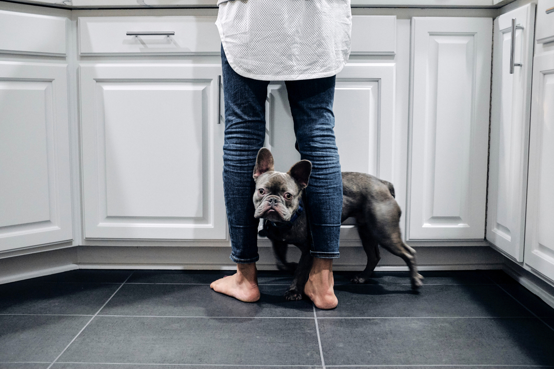 restlypets's tweet photo. 🏋🏾 Post-workout musk. 🚿 Pre-shower funk. That's the scent of love. | Tap the link in bio to read: "Happiness smells like... you" 

#restlypets
#happytails
#petcare
#petwellness
#dogfriendly
#selfcare https://t.co/oIf2aKjf55
