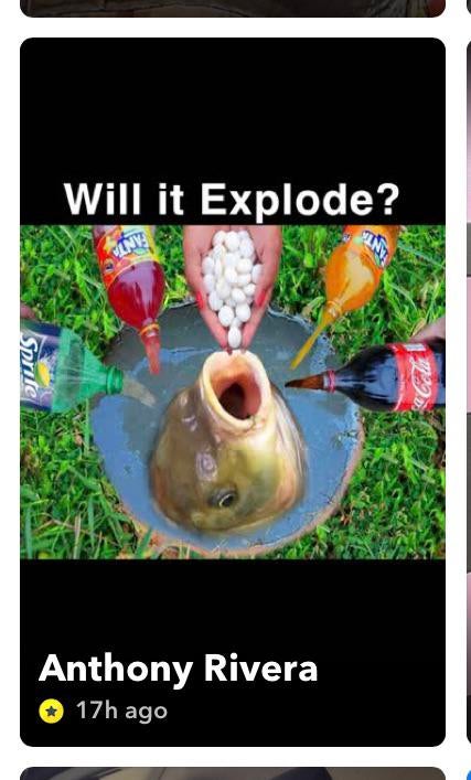 copop22's tweet photo. NOOOOOO POGFISH https://t.co/CuAj0EMSkC