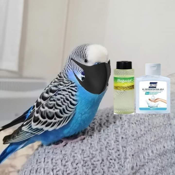 Fulya Turan tweet media