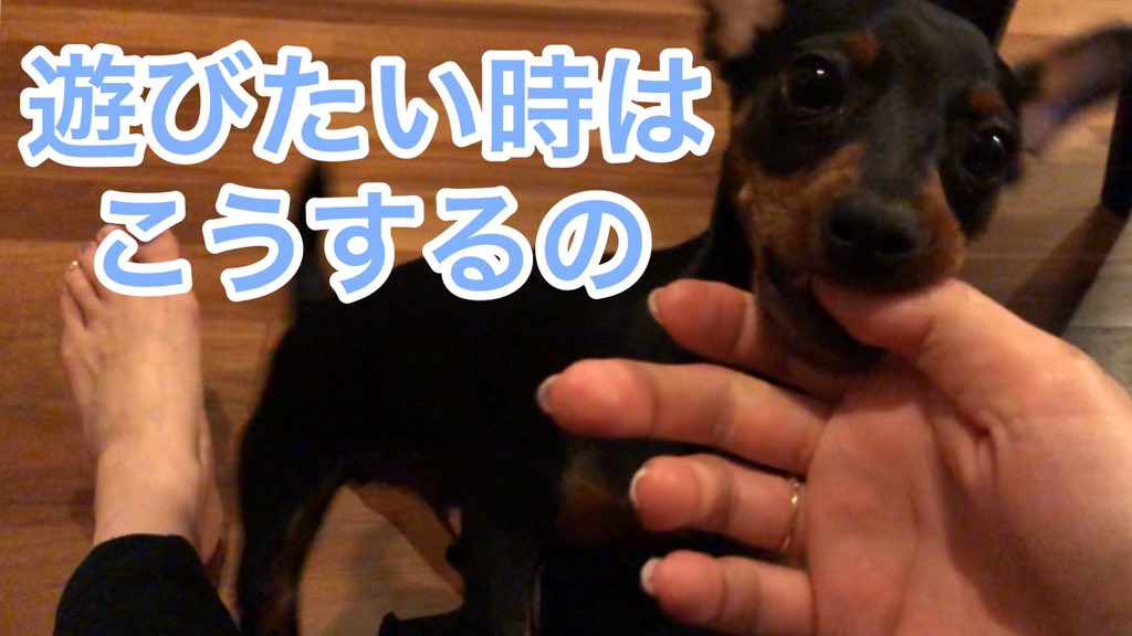 噛むふり Twitter Search Twitter