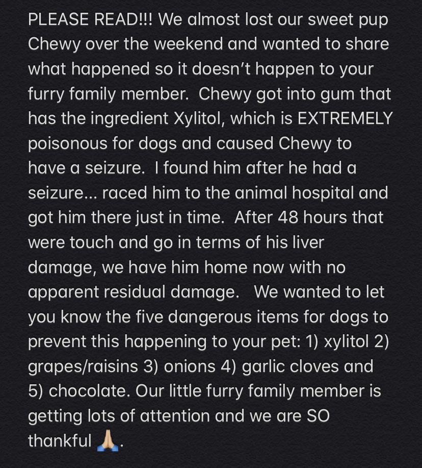 ZachKleinWSB's tweet photo. Please read....

almost lost the most popular TV personality at @wsbtv 🙏🏼❤️🐶 https://t.co/nT9y6uFMLp